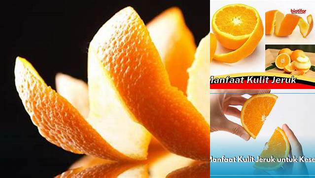 Temukan Manfaat Kulit Jeruk yang Jarang Diketahui, Bikin Penasaran!