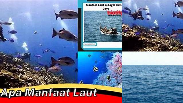 Temukan Manfaat Laut yang Jarang Diketahui, Menanti Anda!