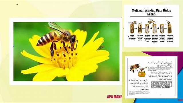 Temukan Manfaat Penting Lebah yang Jarang Diketahui