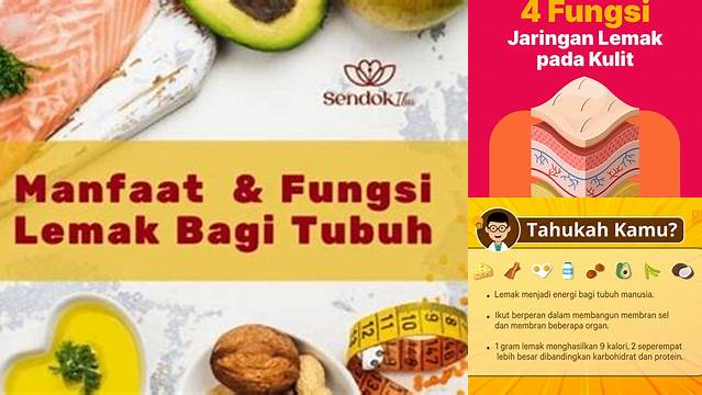 Temukan 9 Manfaat Lemak yang Jarang Diketahui untuk Tubuh Anda