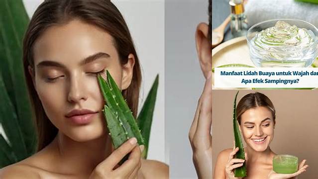 Temukan Khasiat Lidah Buaya untuk Wajah yang Jarang Diketahui