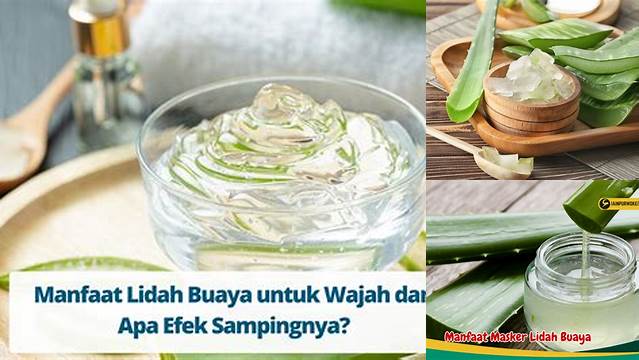 Temukan 9 Manfaat Lidah Buaya untuk Bibir yang Jarang Diketahui