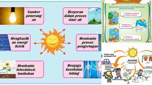 Manfaat Matahari yang Jarang Diketahui, Wajib Kamu Tahu!