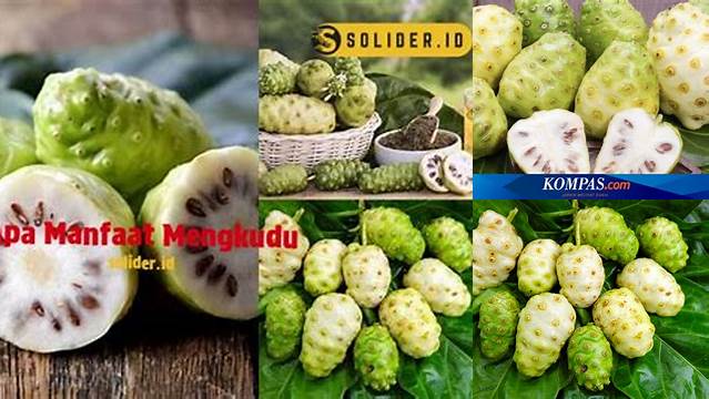 Temukan Rahasia Manfaat Mengkudu yang Wajib Anda Tahu