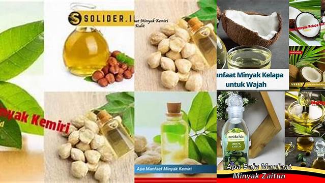 Temukan Manfaat Minyak yang Luar Biasa yang Jarang Diketahui