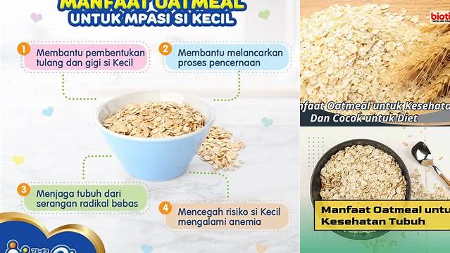 Temukan 9 Manfaat Oatmeal Yang Jarang Diketahui