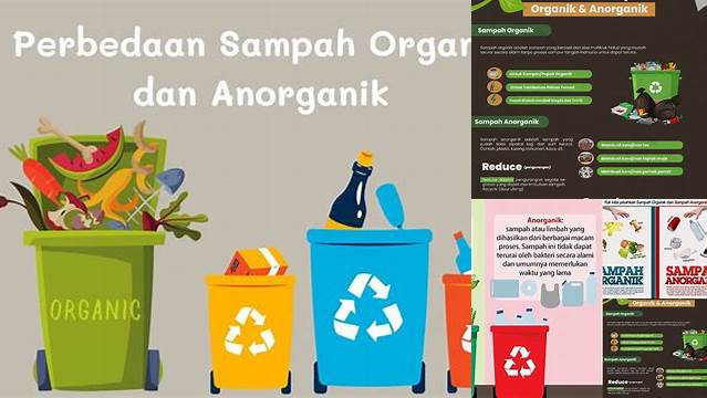 Terungkap 10 Manfaat Sampah Organik dan Anorganik yang Jarang Diketahui