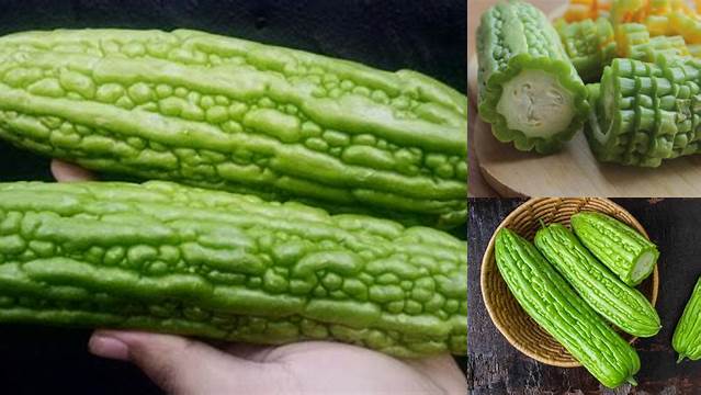 Temukan Manfaat Tak Terduga Sayur Pare yang Jarang Diketahui!