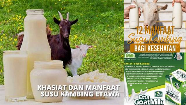 Temukan 7 Manfaat Susu Kambing yang Jarang Diketahui!