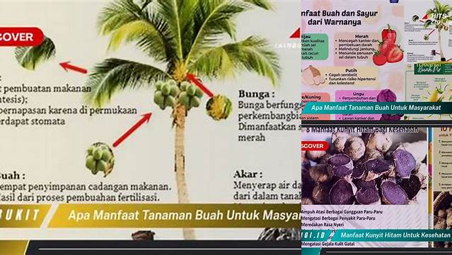 9 Manfaat apa manfaat tanaman buah untuk masyarakat temukan sekarang!