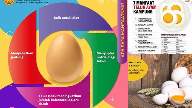 Pelajari Manfaat Telur yang Menakjubkan dan Jarang Diketahui