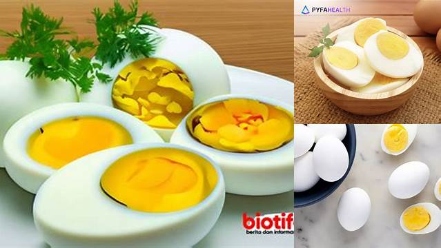 8 Manfaat Telur Rebus untuk Kesehatan Tubuh dan Otak Anda