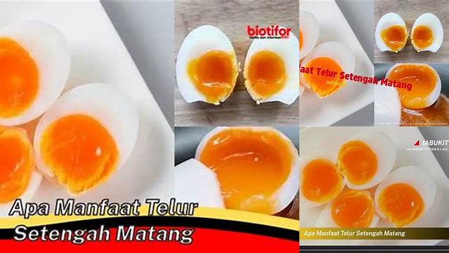 8 Manfaat Apa Manfaat Telur Setengah Matang Terungkap Lebih Jelas