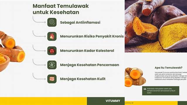 Temukan Manfaat Temulawak untuk Kesehatan yang Jarang Diketahui