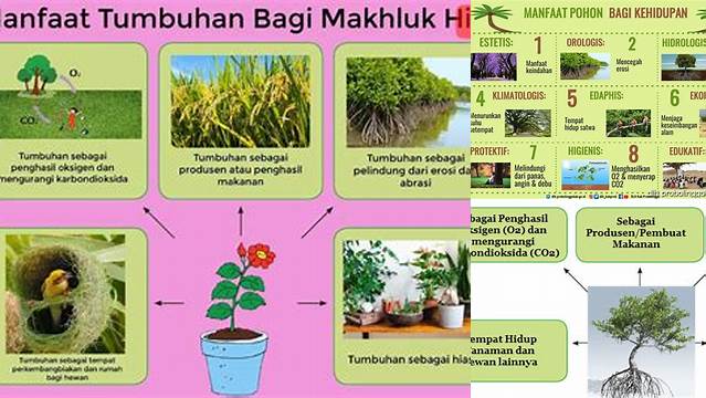 Manfaat Tumbuhan yang Jarang Diketahui