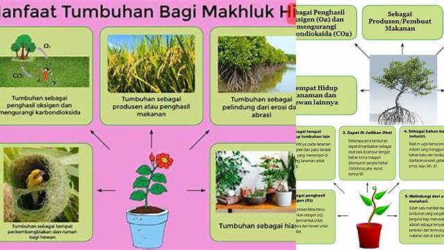 Temukan Manfaat Tumbuhan yang Jarang Diketahui untuk Kesehatan Anda