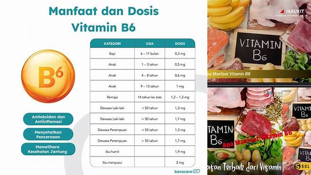 9 Manfaat apa manfaat vitamin b6 untuk kesehatan tubuh optimal