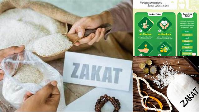 Apa Pengertian Zakat