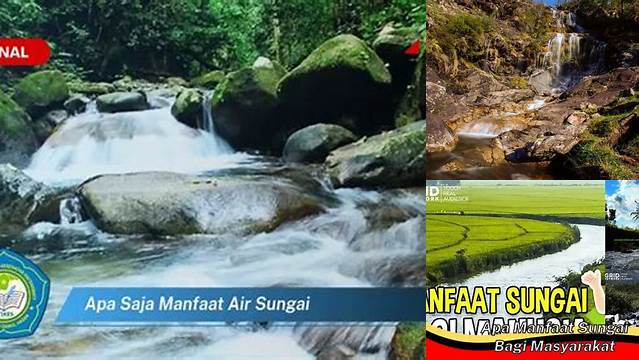 Temukan Manfaat Sungai yang Jarang Diketahui