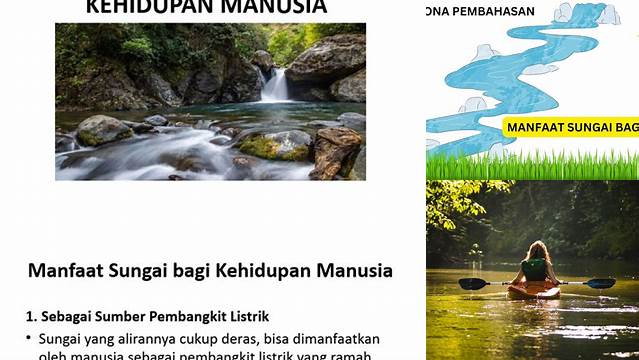 Apa Saja Manfaat Sungai Bagi Manusia? Rahasia yang Mungkin Belum Anda Ketahui