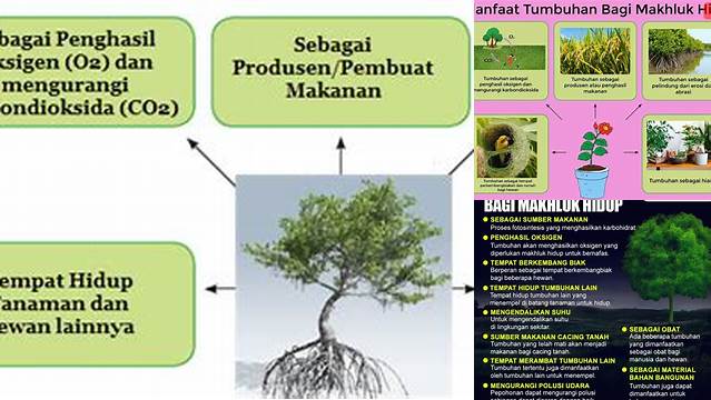 Temukan Manfaat Tumbuhan yang Jarang Diketahui Bagi Manusia