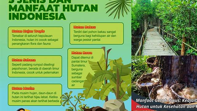 Temukan Manfaat Hutan yang Jarang Diketahui