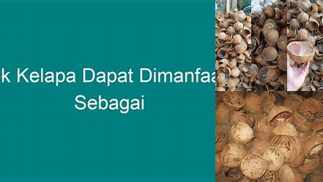 10 Manfaat Batok Kelapa yang Wajib Kamu Tahu