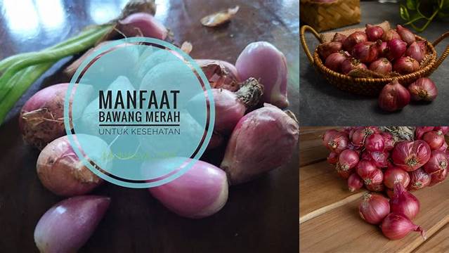 Temukan Manfaat Bawang Merah yang Jarang Diketahui