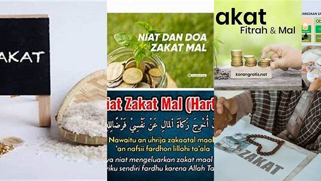 Bayar Zakat Mal