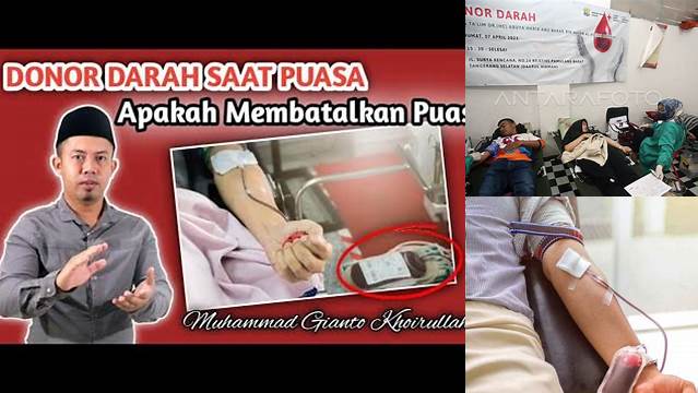 Bolehkah Donor Darah Saat Puasa