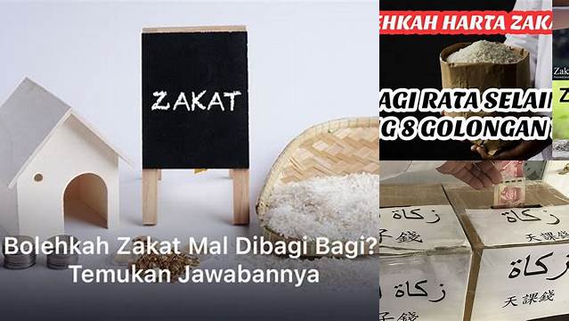 Bolehkah Zakat Mal Dibagi Bagi