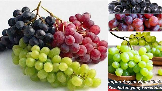 Temukan Manfaat Buah Anggur yang Jarang Diketahui