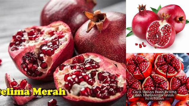 Ungkap Khasiat Buah Delima Merah yang Jarang Diketahui
