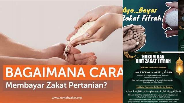 Cara Membayar Zakat