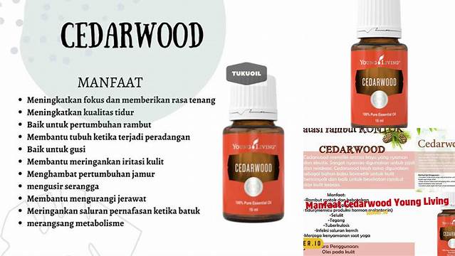 Temukan 10 Manfaat Cedarwood Young Living yang Perlu Anda Ketahui