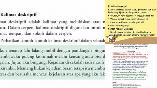 Temukan Cara Menulis Contoh Kalimat Deskripsi Manfaat yang Menggiurkan
