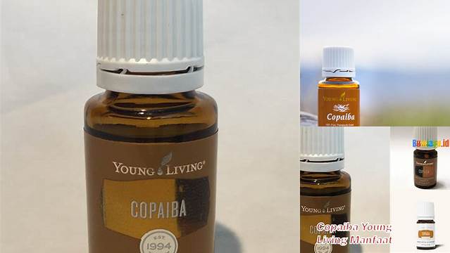 Manfaat Minyak Copaiba Young Living yang Jarang Diketahui, Wajib Dibaca!