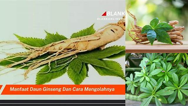 Manfaat Daun Ginseng yang Perlu Anda Ketahui