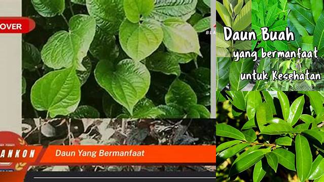 Temukan Manfaat Daun Berharga yang Jarang Diketahui