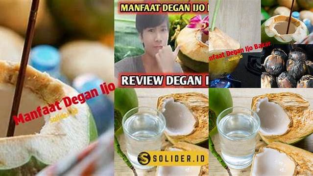 Temukan Khasiat Degan Ijo yang Jarang Diketahui, Wajib Tahu!