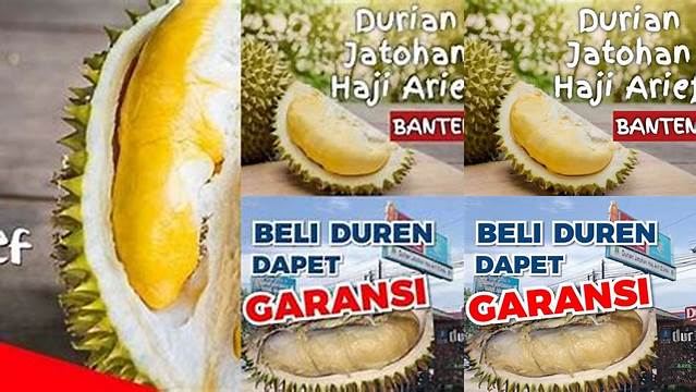 Durian Jatohan Haji Arif