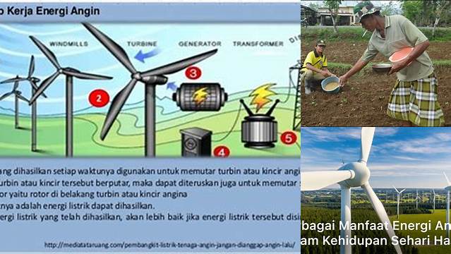 Manfaat Energi Angin Jarang Diketahui yang Harus Anda Tahu!