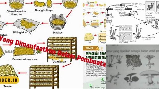 Temukan Manfaat Jamur dalam Pembuatan Tempe yang Jarang Diketahui