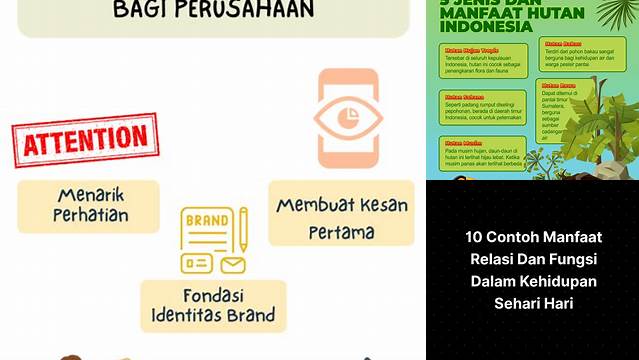 Temukan 9 Manfaat Fungsi dan Manfaat yang Jarang Diketahui