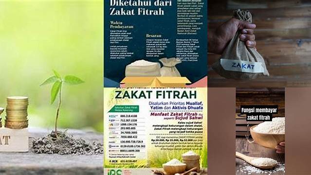 Fungsi Zakat Fitrah