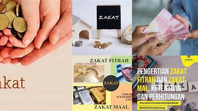 Fungsi Zakat Mal