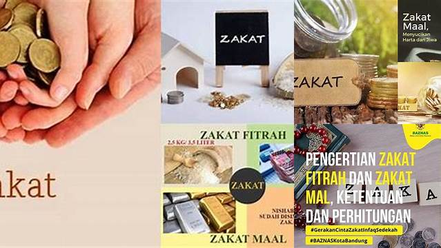 Fungsi Zakat Mal Yaitu