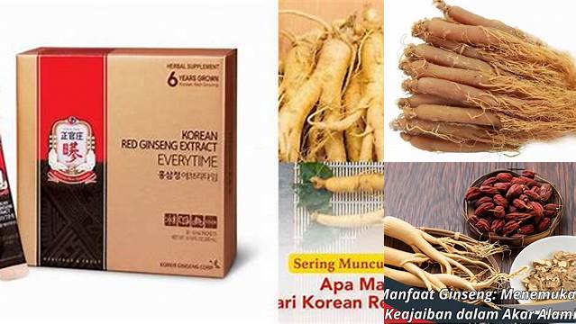 12 Manfaat Ginseng Merah Jarang Diketahui, Wajib Dibaca!