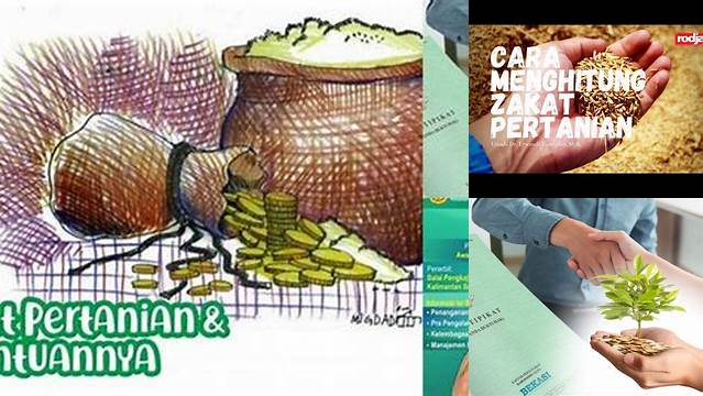 Hasil Pertanian Wajib Dizakati Setiap