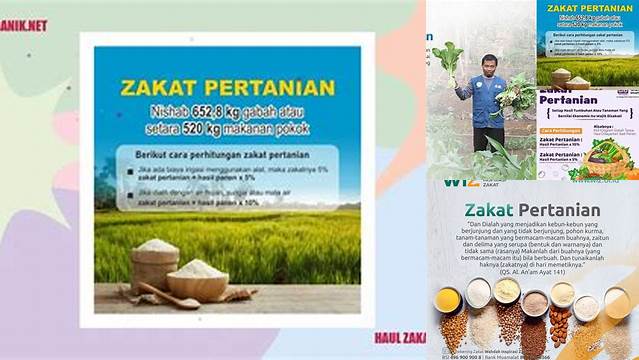 Haul Zakat Hasil Pertanian Adalah